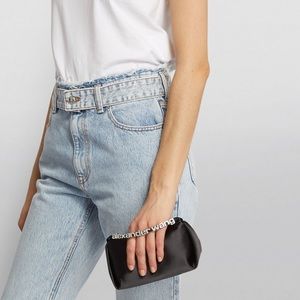 Alexander Wang Micro Satin Marquess Bag